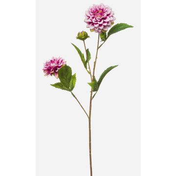 Konstgjord gren med dahlia CEVAST, lila-krämfärgad, 70cm, Ø7-8cm Konstgjord gren med dahlia CEVAST, lila-krämfärgad, 70cm, Ø7-8cm