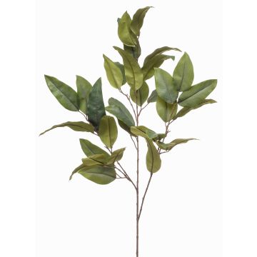 Konstgjord eukalyptusgren BELUNI, grön, 125cm Konstgjord eukalyptusgren BELUNI, grön, 125cm