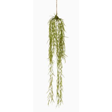 Konstväxt, suckulent Hoya linearis hängande TAMON, grön, 90cm Konstväxt, suckulent Hoya linearis hängande TAMON, grön, 90cm