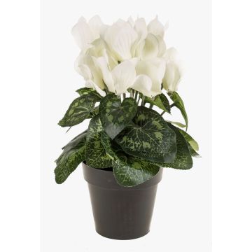 Konstgjord alpenviol HEIDI i dekorativ kruka, krämfärgad, 25cm, Ø5-8cm Konstgjord alpenviol HEIDI i dekorativ kruka, krämfärgad, 25cm, Ø5-8cm