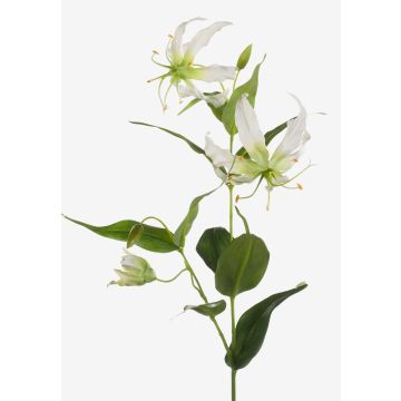 Konstblomma Gloriosa FUJITA, krämgrön, 80cm, Ø15cm