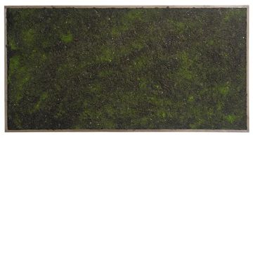 Dekorativ häck / mossa i ram HONAM, brun-grön, 100x50cm Dekorativ häck / mossa i ram HONAM, brun-grön, 100x50cm