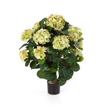 Konstblomma hortensia HARUKA på stam, grön, 60cm, Ø9-16cm Konstblomma hortensia HARUKA på stam, grön, 60cm, Ø9-16cm