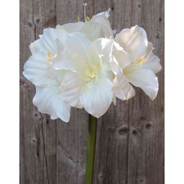 Konstgjord amaryllis DAGGI, vit, 70cm, Ø11-18cm