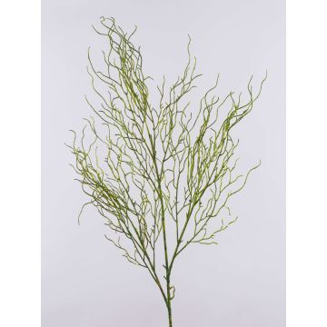Konstgjord pilkvist SYLAS, grön-gul, 105cm