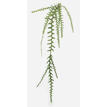 Konstgjord växt bladkaktus BRAGIN, på stickpinne, svårt brandfarlig, grön, 125cm Konstgjord växt bladkaktus BRAGIN, på stickpinne, svårt brandfarlig, grön, 125cm