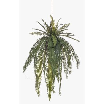 Dekorativ svärdfarn i hängkruka MAXROL, jordklump, rötter, hängande, grön, 85cm
