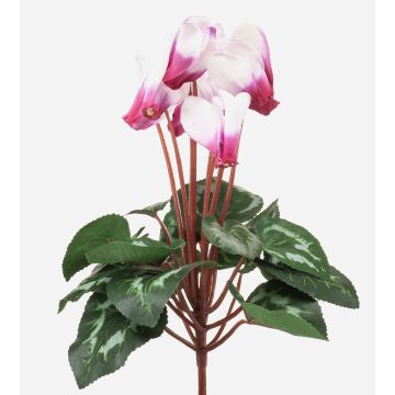 Konstgjord alpskalla VERIANA på stödpinne, vit-cerise, 30cm Konstgjord alpskalla VERIANA på stödpinne, vit-cerise, 30cm