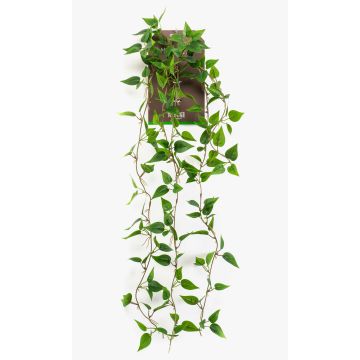 Konstgjord hängväxt Philodendron scandens SAELFES på stödpinne, 85cm Konstgjord hängväxt Philodendron scandens SAELFES på stödpinne, 85cm