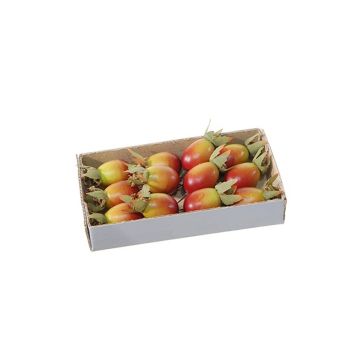 Dekorationsfrukt nypon ZENNY med tråd, 12 st, röd-gul, 3cm, Ø2cm Dekorationsfrukt nypon ZENNY med tråd, 12 st, röd-gul, 3cm, Ø2cm