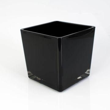 Glaskruka KIM EARTH, svart, 14x14x14cm Glaskruka KIM EARTH, svart, 14x14x14cm