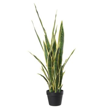 Dekorativ växt bågpalme CASTIEL, kruka, grön-gul, 105cm Dekorativ växt bågpalme CASTIEL, kruka, grön-gul, 105cm