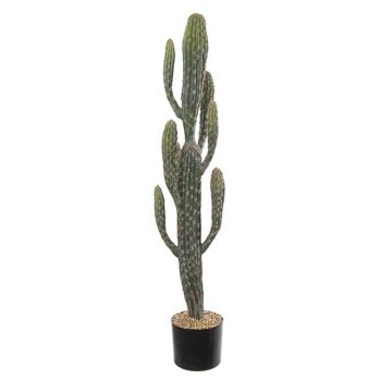 Konstgjord kaktus San Pedro DENIZ, grön, 100cm Konstgjord kaktus San Pedro DENIZ, grön, 100cm