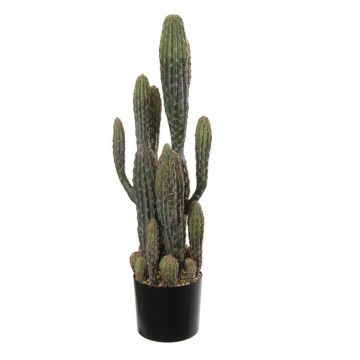 Konstgjord kaktus San Pedro DENIZ, grön, 80cm Konstgjord kaktus San Pedro DENIZ, grön, 80cm