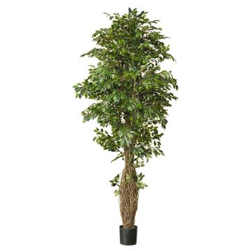 Konstgjord växt Ficus Benjamini ALMINKO, naturstam, grön, 330cm Konstgjord växt Ficus Benjamini ALMINKO, naturstam, grön, 330cm