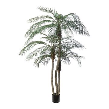 Konstgjord palm Phoenix ELIES, 210cm Konstgjord palm Phoenix ELIES, 210cm