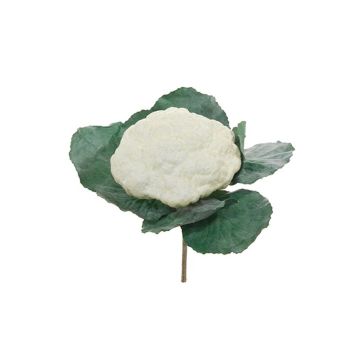 Konstgjord grönsak blomkål GUSTL, vit-grön, 20cm, Ø20cm Konstgjord grönsak blomkål GUSTL, vit-grön, 20cm, Ø20cm