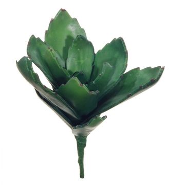 Dekorativ suckulent Kalanchoe thyrsiflora MATTS, stickpinne, grön, 18cm Dekorativ suckulent Kalanchoe thyrsiflora MATTS, stickpinne, grön, 18cm