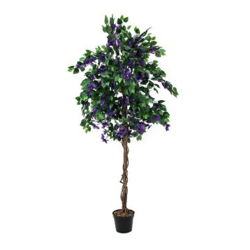 Konstgjord bougainvillea BANU, äkta stammar, blommor, violett, 180cm Konstgjord bougainvillea BANU, äkta stammar, blommor, violett, 180cm