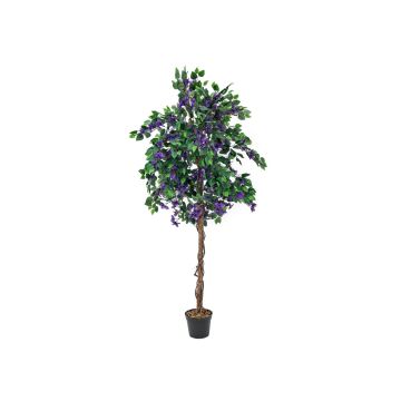 Konstgjord bougainvillea BANU, äkta stammar, blommor, violett, 180cm