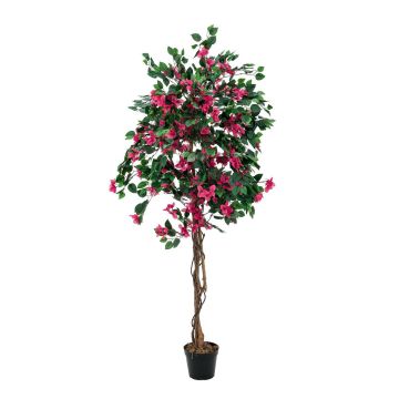 Konstgjord bougainvillea BANU, äkta stammar, blommor, cerise, 150cm Konstgjord bougainvillea BANU, äkta stammar, blommor, cerise, 150cm