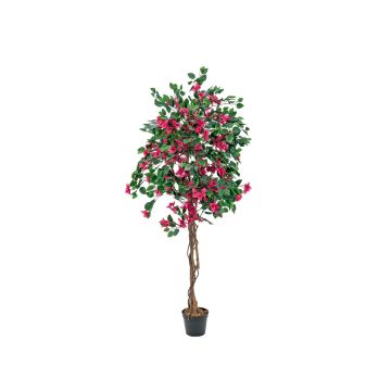Konstgjord bougainvillea BANU, äkta stammar, blommor, cerise, 180cm