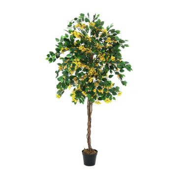 Konstgjord bougainvillea BANU, äkta stammar, blommor, gul, 180cm Konstgjord bougainvillea BANU, äkta stammar, blommor, gul, 180cm