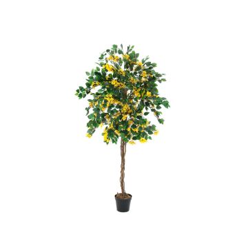 Konstgjord bougainvillea BANU, äkta stammar, blommor, gul, 180cm