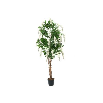 Konstgjord guldregn LESLIE, äkta stammar, med blommor, vit, 150cm Konstgjord guldregn LESLIE, äkta stammar, med blommor, vit, 150cm