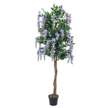 Konstgjord guldregn LESLIE, äkta stammar, med blommor, lila, 150cm Konstgjord guldregn LESLIE, äkta stammar, med blommor, lila, 150cm
