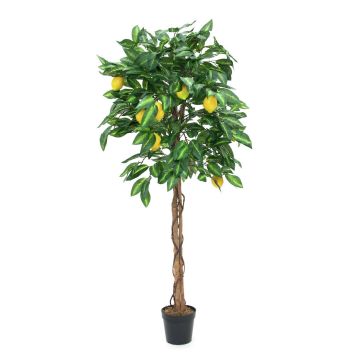 Konstgjord citronträd ZOYA, naturstammar, med frukter, 150cm Konstgjord citronträd ZOYA, naturstammar, med frukter, 150cm