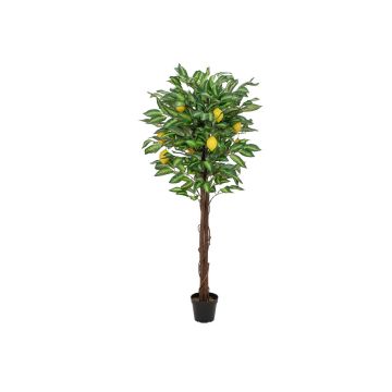 Konstgjord citronträd ZOYA, naturstammar, med frukter, 150cm