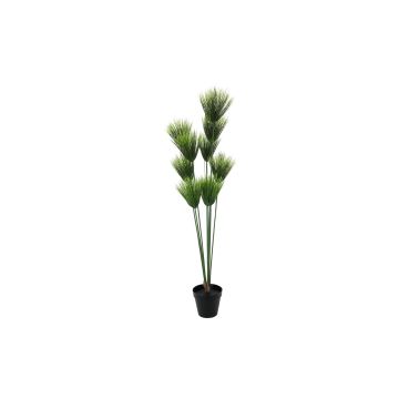 Plastpapyrusväxt BANOU, grön, 150cm