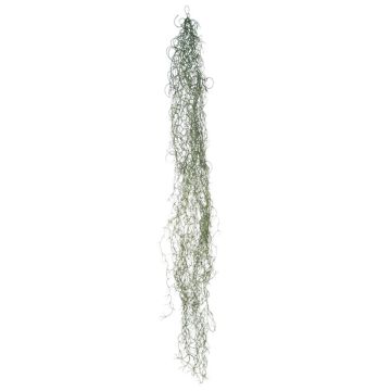 Dekorativ suckulent Tillandsia usneoides MIRIEL, grön, 130cm Dekorativ suckulent Tillandsia usneoides MIRIEL, grön, 130cm
