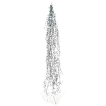 Dekorativ suckulent Tillandsia usneoides MIRIEL, grå, 130cm Dekorativ suckulent Tillandsia usneoides MIRIEL, grå, 130cm