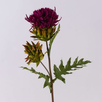 Konstgjord blomma, edeldistel TALISHA, cerise, 55cm, Ø8cm Konstgjord blomma, edeldistel TALISHA, cerise, 55cm, Ø8cm