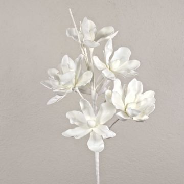 Konstgjord Echeveria tinkerbell-gren av plastskum ORALYA, vit, 95cm, Ø13-18cm Konstgjord Echeveria tinkerbell-gren av plastskum ORALYA, vit, 95cm, Ø13-18cm