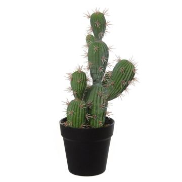 Dekorativ San Pedro TORINU, kruka, grön, 40cm Dekorativ San Pedro TORINU, kruka, grön, 40cm