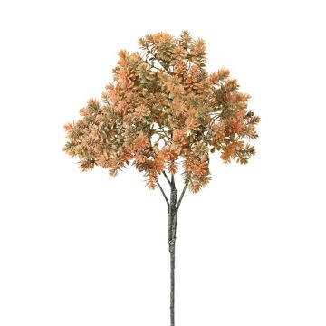 Dekorativt Sedum rubrotinctum NIRMALA, på sticka, orange-grön, 40cm