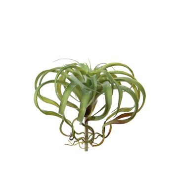 Konstgjord tillandsia xerographica AZARD, stickpinne, grön-röd, 30cm, Ø35cm Konstgjord tillandsia xerographica AZARD, stickpinne, grön-röd, 30cm, Ø35cm