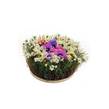 Konstgjord blomsterarrangemang med anemoner och prästkragar IKAIA, brokig, 12cm, Ø20cm Konstgjord blomsterarrangemang med anemoner och prästkragar IKAIA, brokig, 12cm, Ø20cm