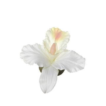 Konstgjord blomma Dendrobium Sonia-orkidé CERIN, flytande, krämvit, 14x14cm Konstgjord blomma Dendrobium Sonia-orkidé CERIN, flytande, krämvit, 14x14cm