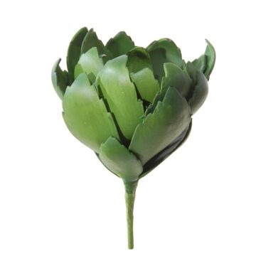 Dekorativ suckulent drakträd-agave LEVON, stickpinne, grön, 20cm