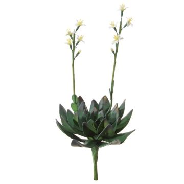 Konstgjord suckulent Aeonium LILKA med blommor, sticka, grön-vit, 35cm