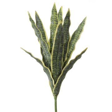 Dekorativ växt bågpalme LIVIANA, stickpinne, grön-gul, 50cm Dekorativ växt bågpalme LIVIANA, stickpinne, grön-gul, 50cm