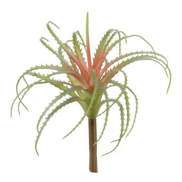Konstgjord suckulent Tillandsia Stricta LUONG, stickpinne, grön-röd, 22cm Konstgjord suckulent Tillandsia Stricta LUONG, stickpinne, grön-röd, 22cm