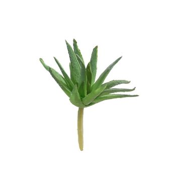 Konstgjord Agave decipiens KIANU, stödpinne, grön, 9cm Konstgjord Agave decipiens KIANU, stödpinne, grön, 9cm