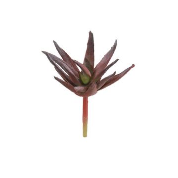 Konstgjord Agave decipiens KIANU, stickpinne, vinröd-grön, 9cm Konstgjord Agave decipiens KIANU, stickpinne, vinröd-grön, 9cm