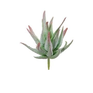 Konstgjord Agave decipiens KIANE, sticka, grön-grå-röd, 10cm