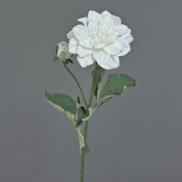 Konstgjord blomma, dahlia-gren GINGER, Eco Collection, vit-lila, 60cm, Ø10cm Konstgjord blomma, dahlia-gren GINGER, Eco Collection, vit-lila, 60cm, Ø10cm